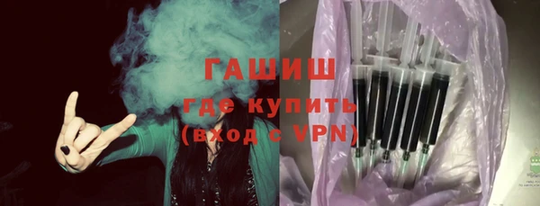 стаф Богданович