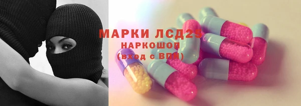 стаф Богданович