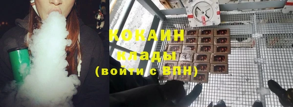 стаф Богданович